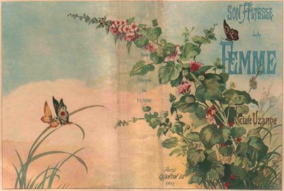Cover of the Book by Octave Uzanne, Her Highness the Woman by Gustave Fraipont